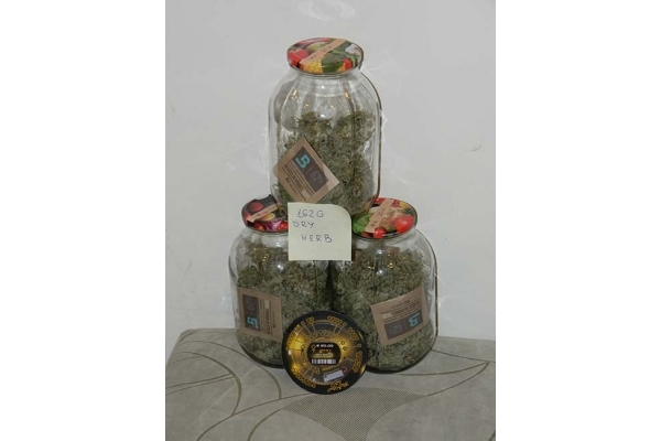 King's Kush Automat (Greenhouse Seeds) feminizowane