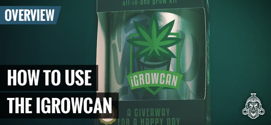 Jak używać iGrowcan
