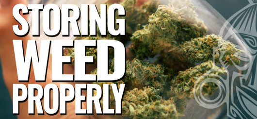 Jak prawidłowo przechowywać marihuanę