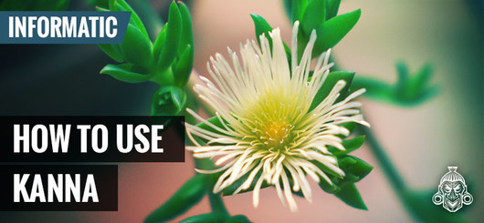 Jak używać: kanna